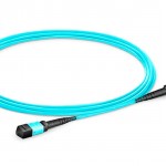 Шнур ШОС-MM/OM3/3.0  мм-MPO12f-MPO12f-B-20.0  м female-female type B